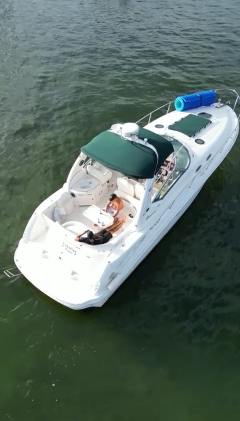 36ft Sea Ray Available for Rent in Miami for up to 12 people. - Image 3