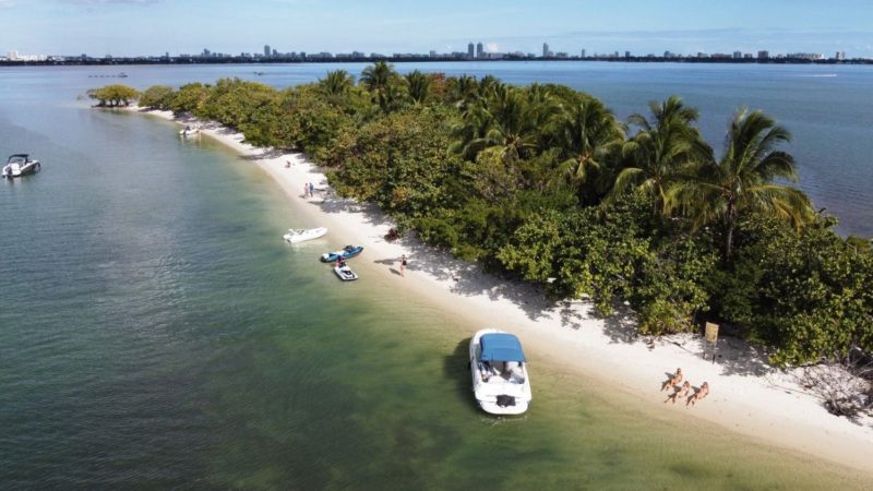 26ft  Sea Ray Sundeck Available in Miami for up to 11 people. No Hidden Fees. - Image 8